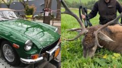 Lovecké trofeje Matovičovho