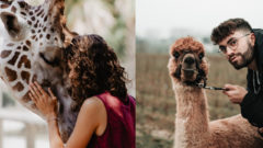 V Bratislave môžeš