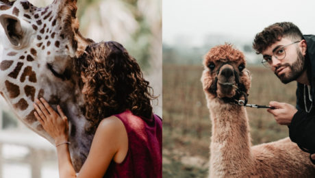 V Bratislave môžeš