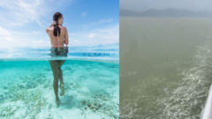 „Slovenské more“ zmenilo