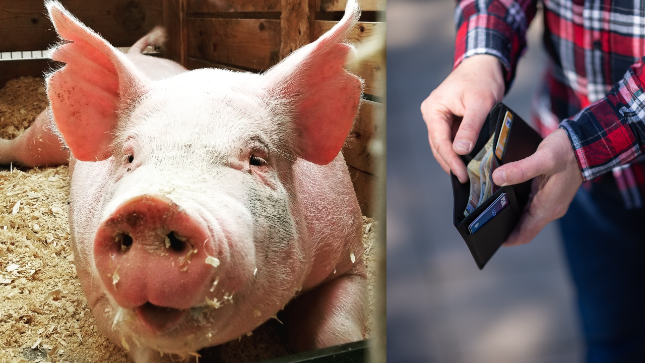 Ilustračný obrázok