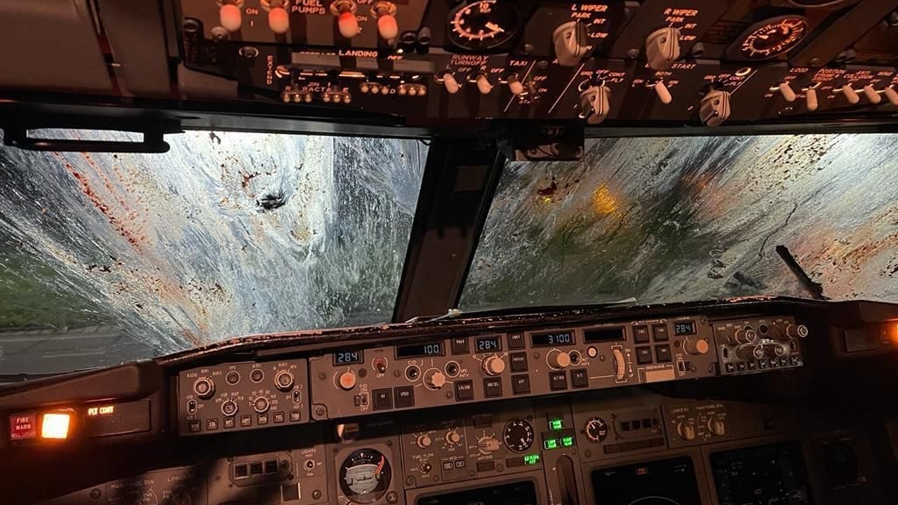 kokpit lietadla náraz s volavkami