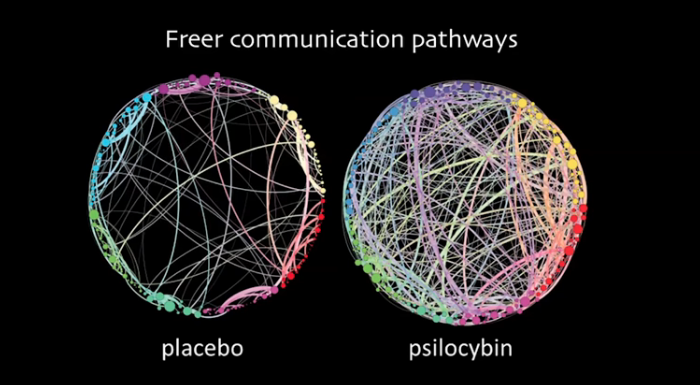 Naša technológia umožní vidieť procesy v mozgu pred a po použití látok.