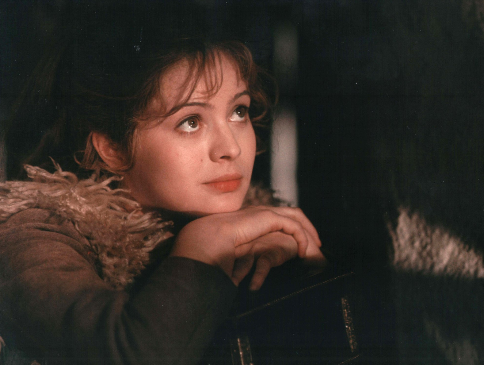 Zlaty Bazant Vianoce