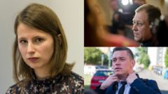 Slovenskí whistlebloweri v
