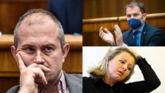 Rozhádaní kotlebovci, internetová