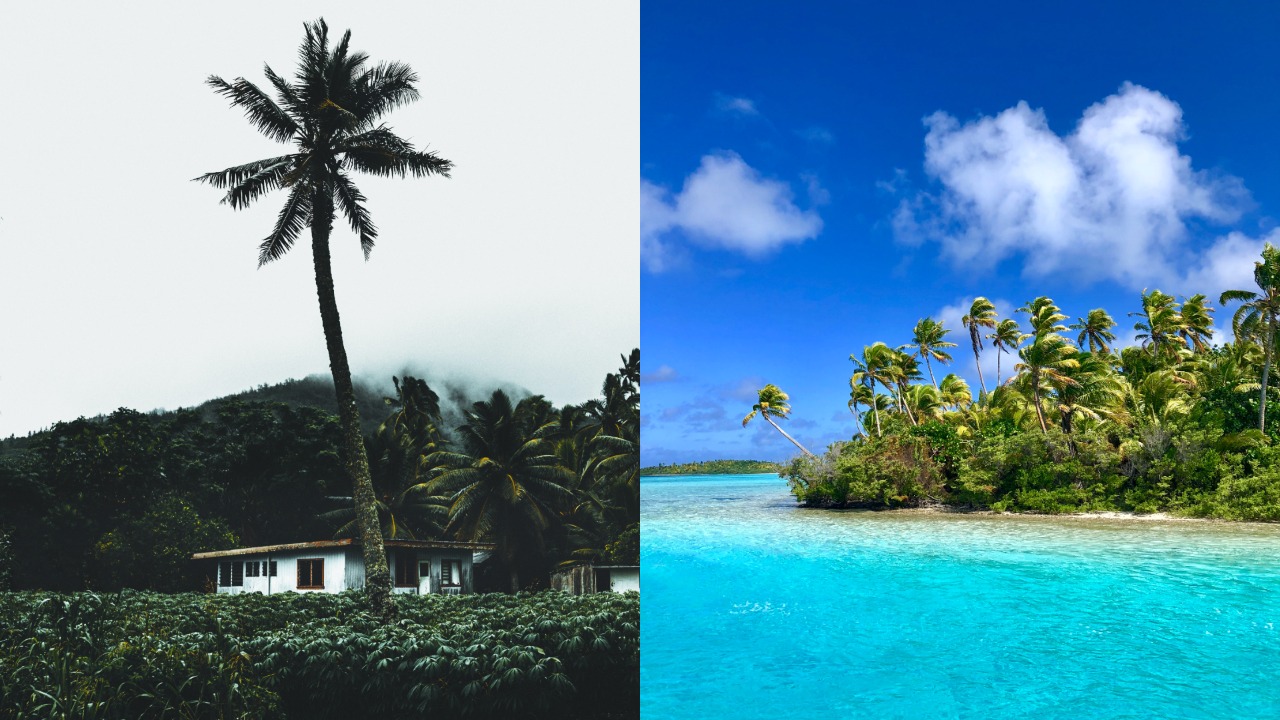 pjimage – 2021-12-05T152044.707