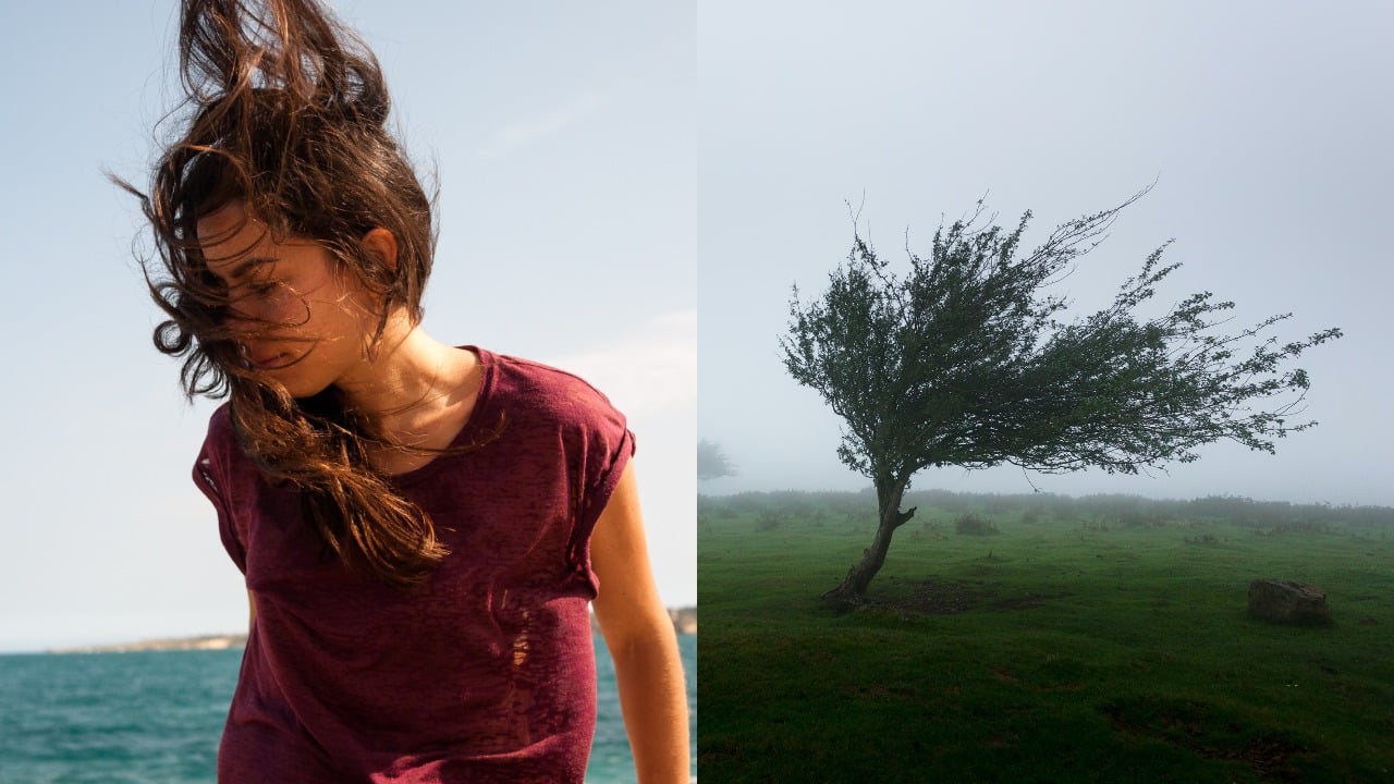 pjimage – 2021-12-11T193844.853