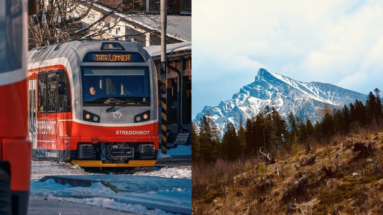 pjimage – 2021-12-13T121425.963