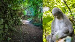 Významná lokalita hlavného