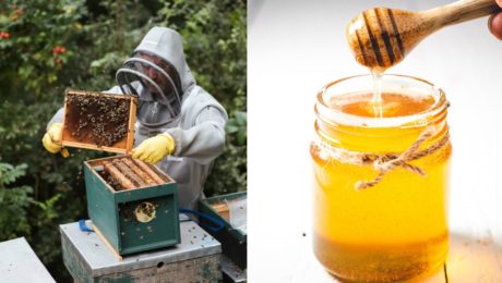 Včelár: Veľkí výrobcovia
