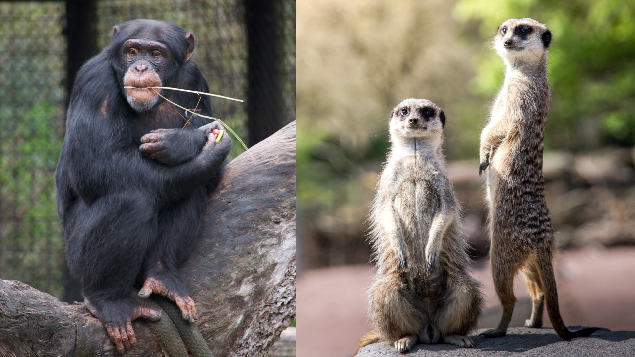 Ilstračný obrázok