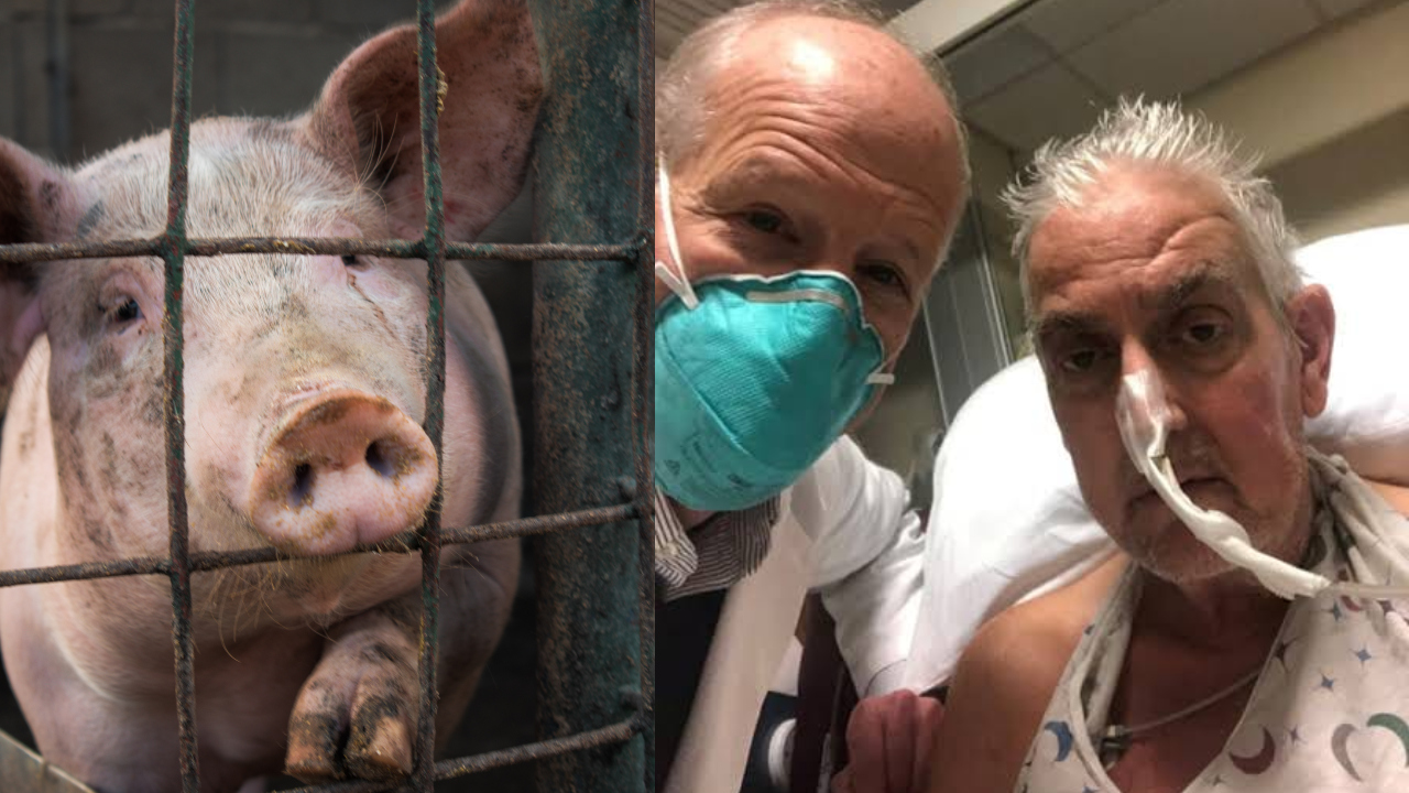 Ilustračný obrázok