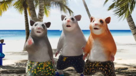 škrečky z dedolesa