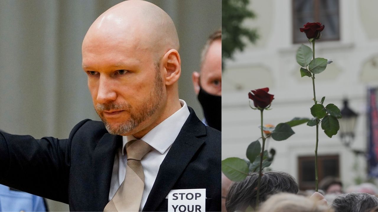 Dizajn bez názvu-50