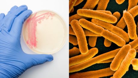 Vedci zaznamenali hrozivý