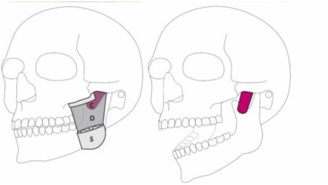 PREVRATNÝ OBJAV: Vedci