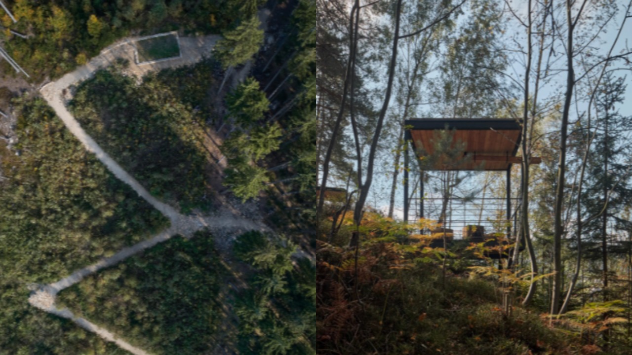 pjimage – 2022-01-05T164835.721