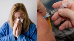 SKVELÝ OBJAV: Vedci