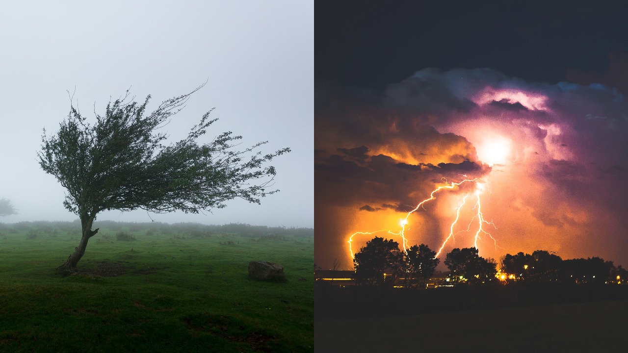 pjimage – 2022-01-17T152721.143