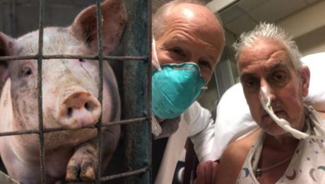 Kuriózny prípad muža,