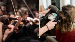 Múzeá či koncertné