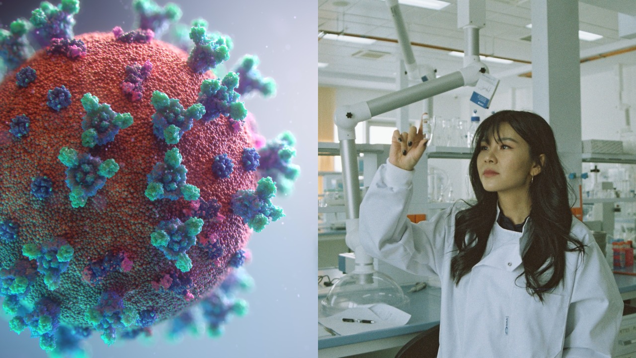 korona, štúdia, covid