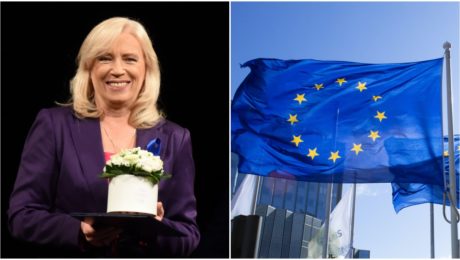 Iveta Radičová: Prepojenie