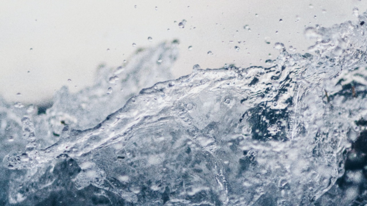 pjimage - 2022-02-08T132944.961