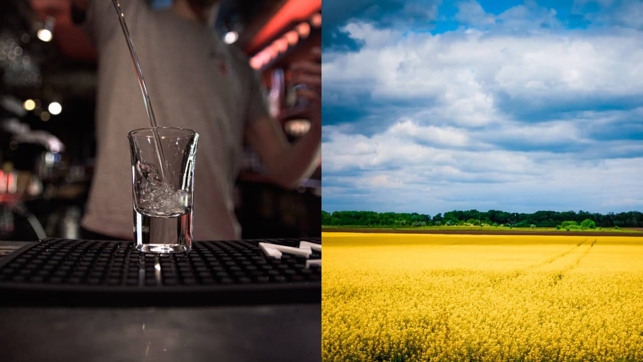 pjimage – 2022-02-28T083140.791