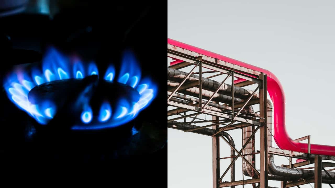 pjimage – 2022-02-28T110916.940