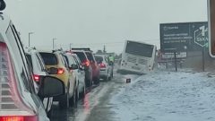 Víchricou Roxana to