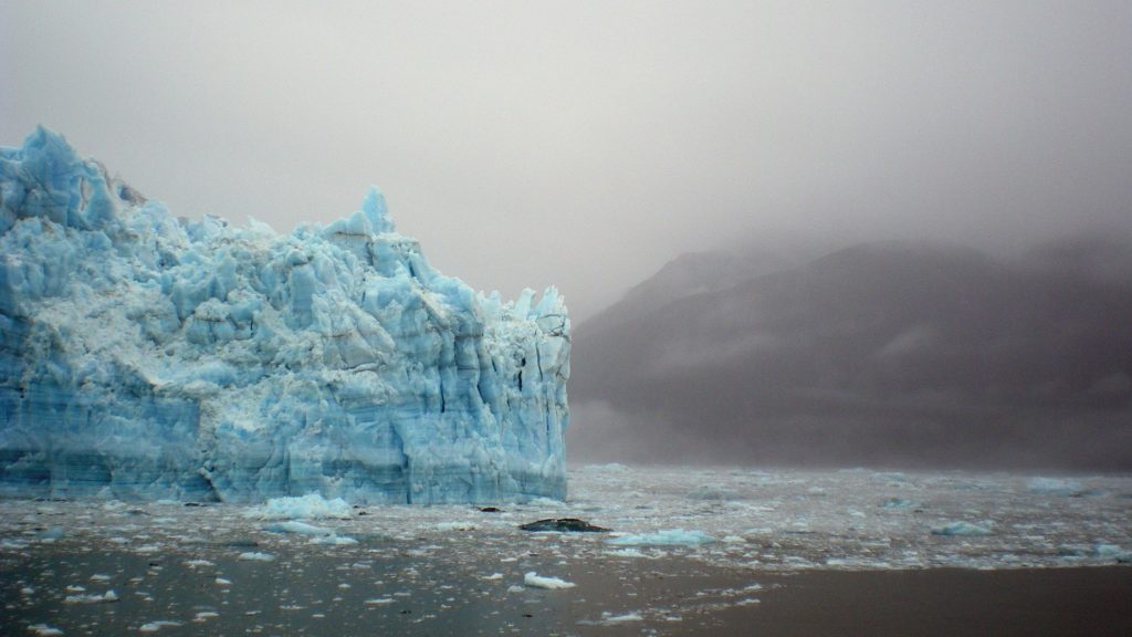 ladovec arktida more