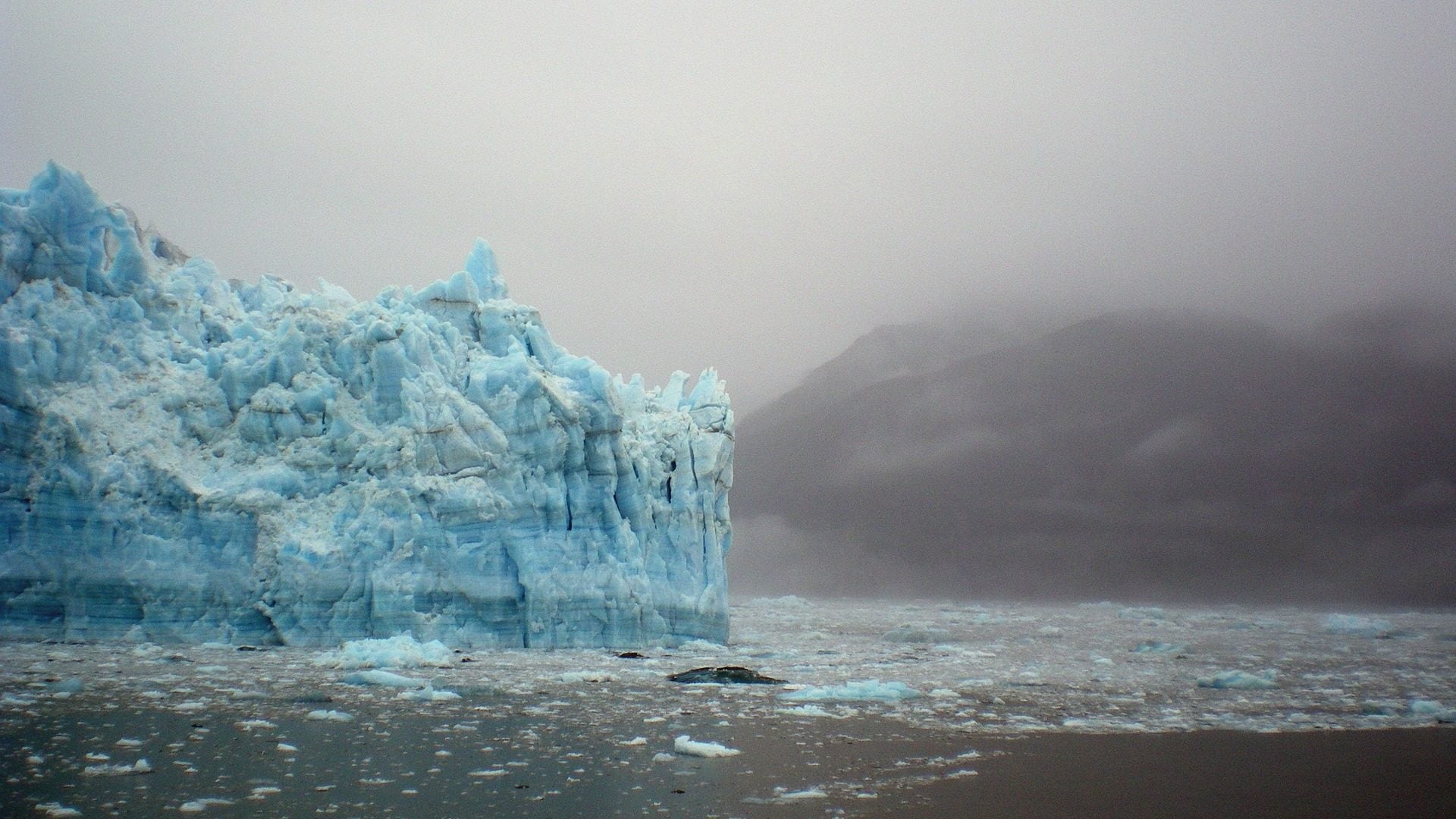 ladovec arktida more