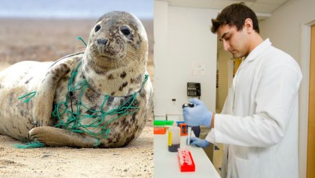 Mikroplasty sa prvýkrát