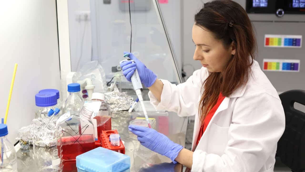 Archív Bene Meat Technologies