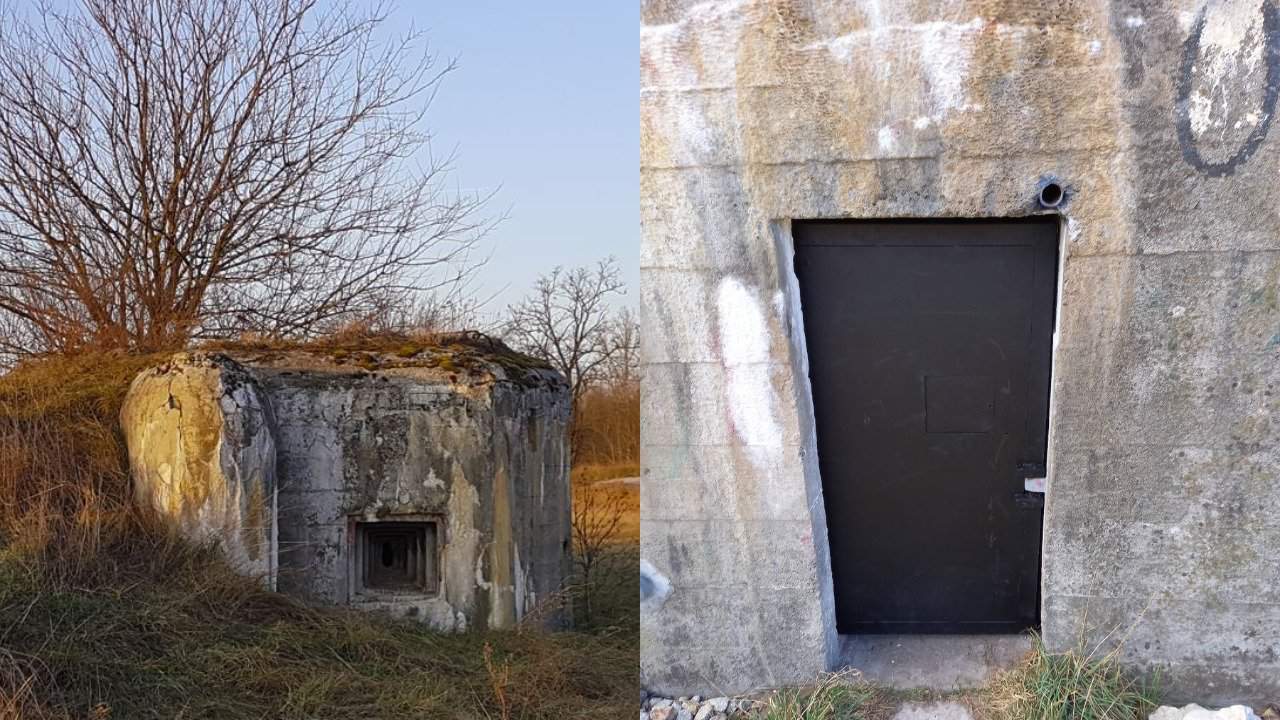 pjimage – 2022-03-04T111530.084