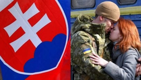 Agresia, skepsa, násilie