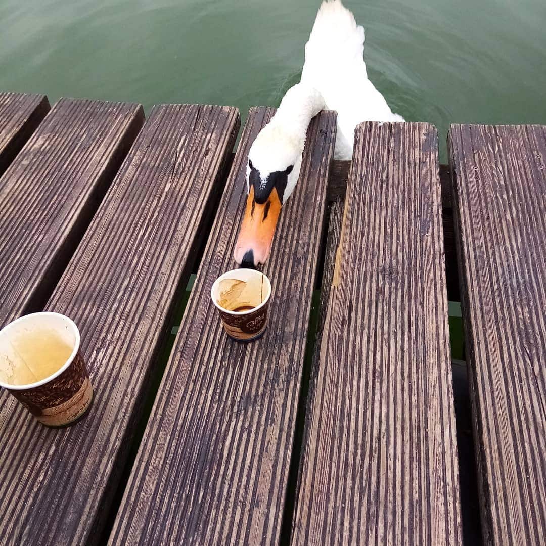 118355600_2679694112278531_5217820605852081794_n