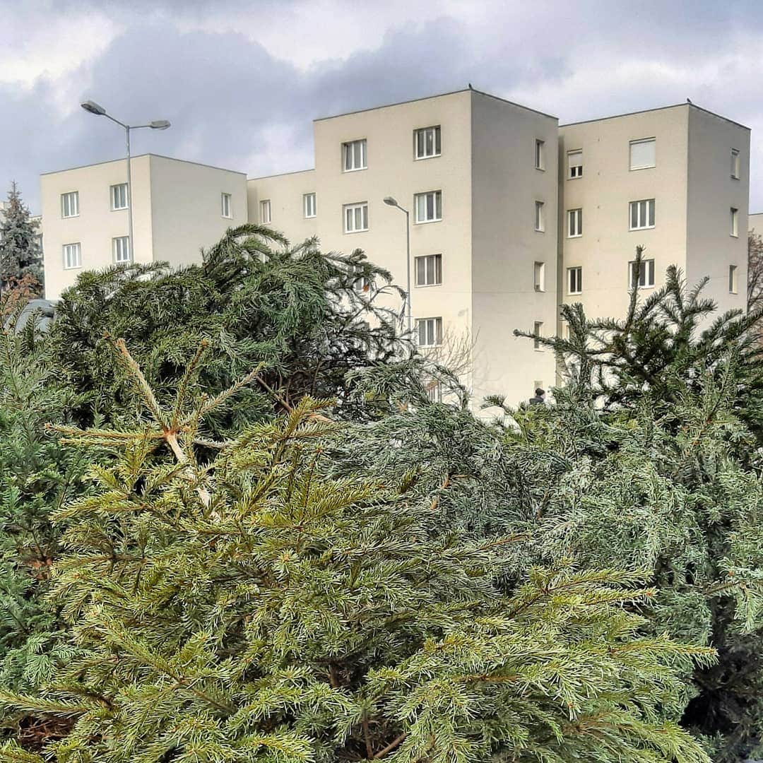 136096345_3741546825903009_2592687488257656254_n