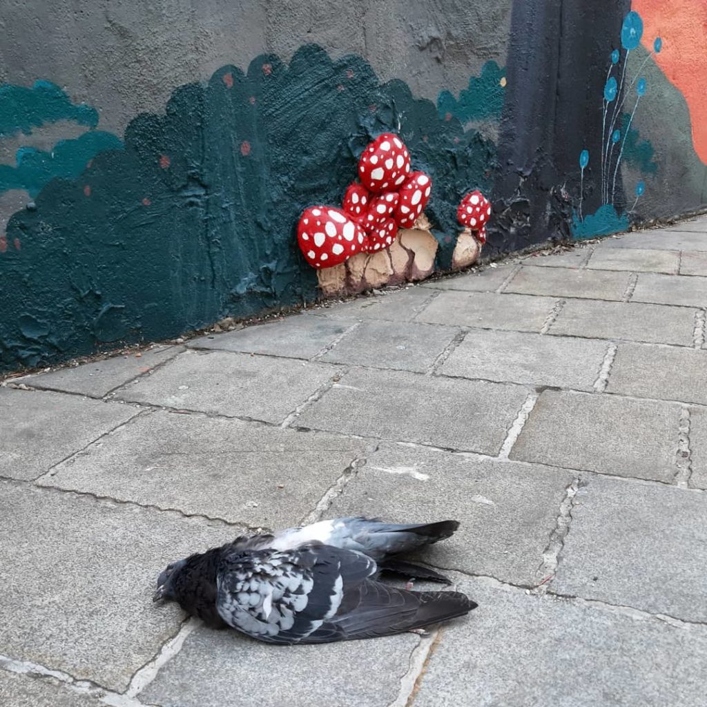 173580484_153968553309676_4968017911963119359_n