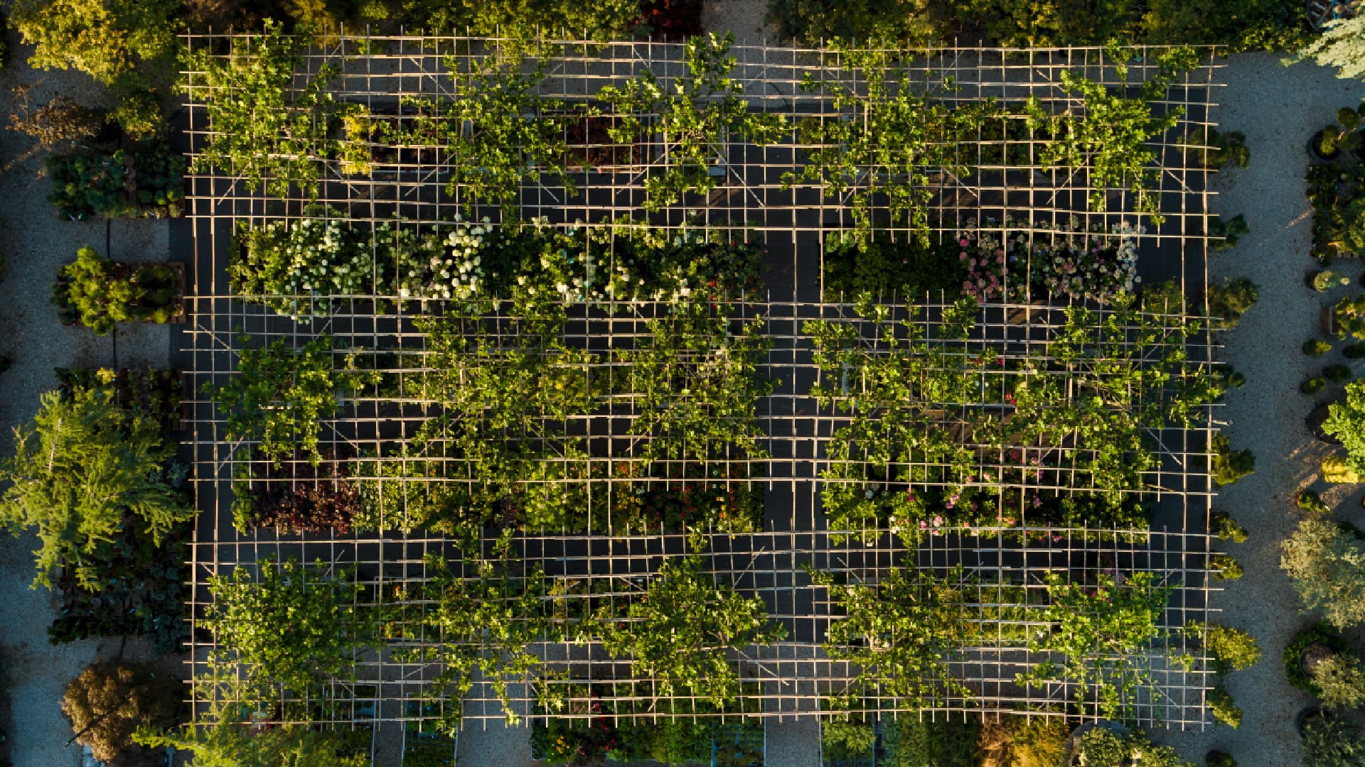 alba zahrada pohlad zhora