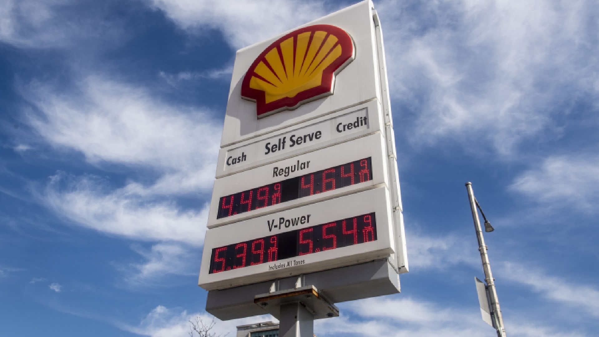 benzin nafta ceny