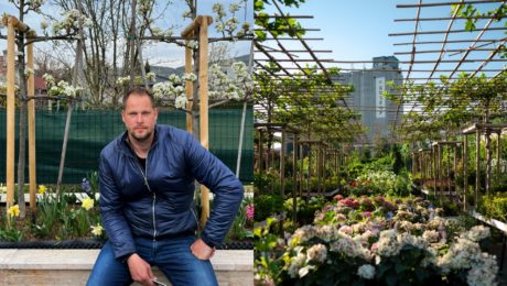Majiteľ záhradníctva: Slováci milujú vitamínové záhrady