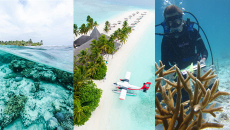 Luxusný rezort na Maldivách hľadá „záhradníka“ do koralovej záhrady - titulka