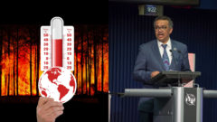 globalne oteplovanie who