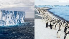 ŠOKUJÚCE ČÍSLA: Vedci