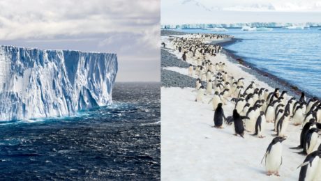 ŠOKUJÚCE ČÍSLA: Vedci