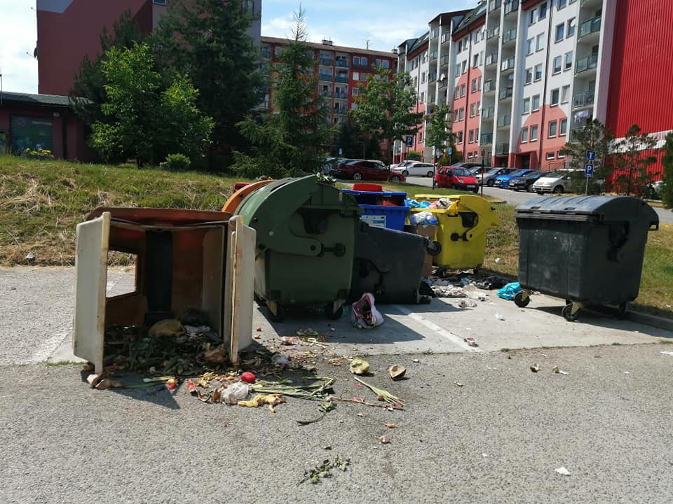 211897915_1945535705598764_4690866545697306696_n