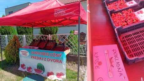 Slovenský unikát: Jahody predávajú bez dozoru. Na východe sú slušní ľudia, hovorí farmár